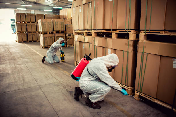 Best Termite Control Services  in Nashville, GA