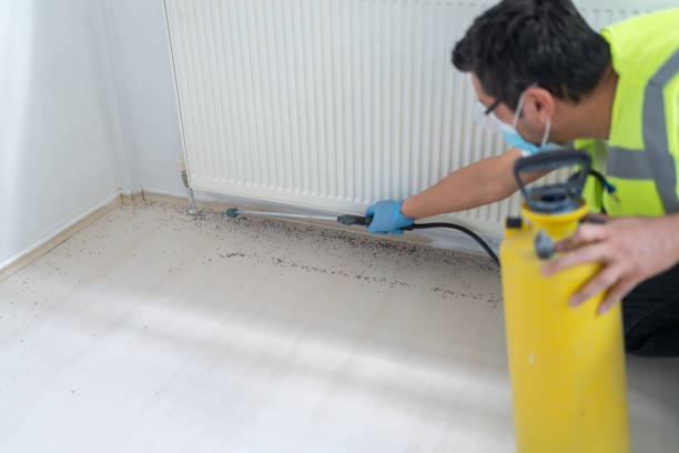 Best Bed Bug Extermination  in Nashville, GA